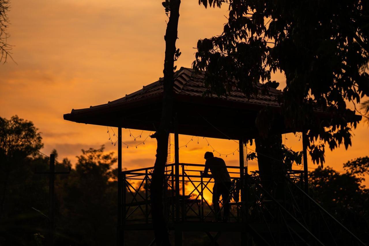 Zostel Coorg, Madikeri Hostel Bagian luar foto